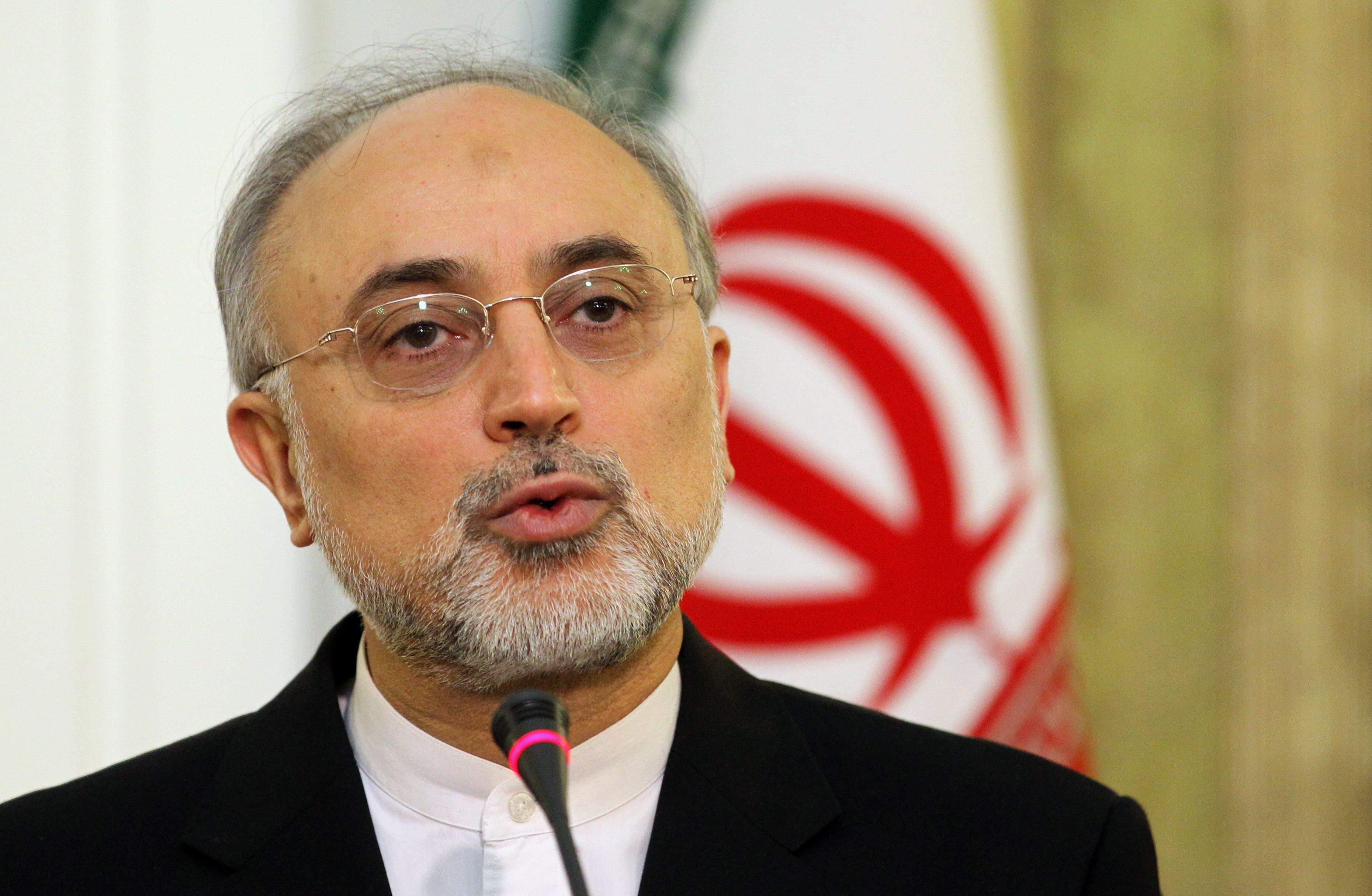 The head of Iran's Atomic Energy Organization, Ali Akbar Salehi