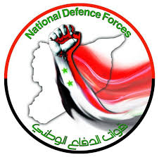 Syria's National Defense Forces