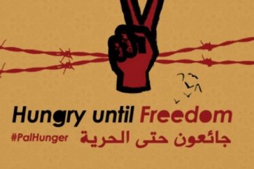 hunger strike hungry until freedom