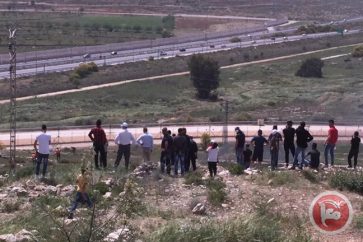 Protests in Palestine