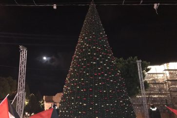 xmas tree Bethlehem