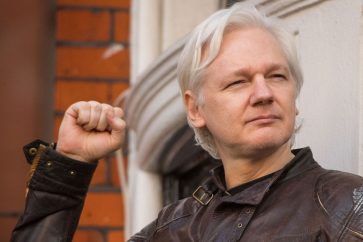 assange