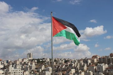 palestine-development