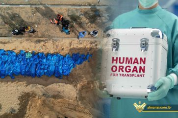 organ theft Israel Gaza